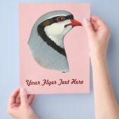 Prospectus 21,6 Cm X 24,94 Cm Chukar : tête de perdrix (main)