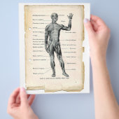 Prospectus 21,6 Cm X 24,94 Cm Circulaire antérieure (main)