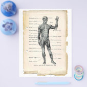 Prospectus 21,6 Cm X 24,94 Cm Circulaire antérieure (Simple)