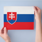 Prospectus 21,6 Cm X 24,94 Cm Circulaire avec drapeau de la Slovaquie (main)