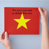 Prospectus 21,6 Cm X 24,94 Cm Circulaire avec drapeau du Vietnam (main)