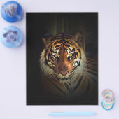 Prospectus 21,6 Cm X 24,94 Cm Circulaire Tiger (Simple)