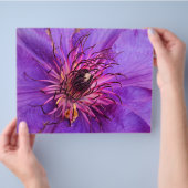 PROSPECTUS 21,6 CM X 24,94 CM CLEMATIS (main)