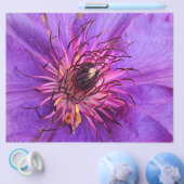 PROSPECTUS 21,6 CM X 24,94 CM CLEMATIS (Simple)