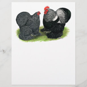 Prospectus 21,6 Cm X 24,94 Cm Cochins : crayonnés d'argent