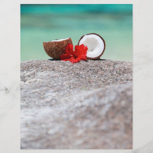 Prospectus 21,6 Cm X 24,94 Cm Coco avec fleur tropicale sur la côte exotique