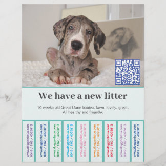 Prospectus 21,6 Cm X 24,94 Cm Comment vendre des chiots Dane colorés Flyer