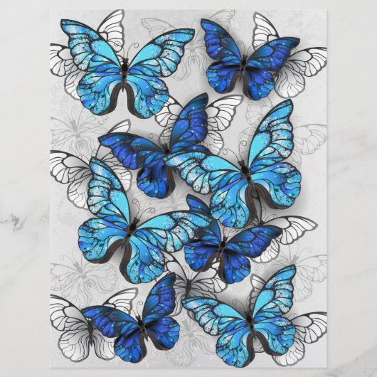 Prospectus 21,6 Cm X 24,94 Cm Composition des papillons blancs et bleus (Devant)