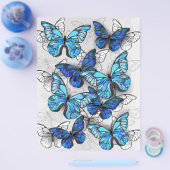 Prospectus 21,6 Cm X 24,94 Cm Composition des papillons blancs et bleus (Simple)