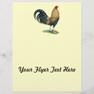 Prospectus 21,6 Cm X 24,94 Cm Coq Dom ou Crele