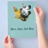 Prospectus 21,6 Cm X 24,94 Cm Coqs Trois Brahmas (main)