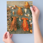 Prospectus 21,6 Cm X 24,94 Cm Coques (main)