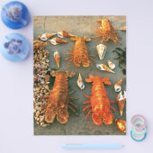 Prospectus 21,6 Cm X 24,94 Cm Coques (Simple)