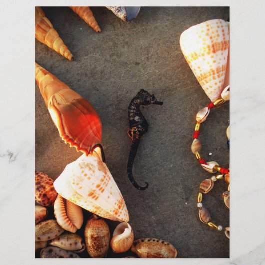 Prospectus 21,6 Cm X 24,94 Cm Coques (Devant)