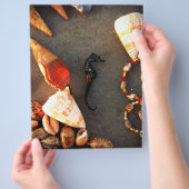 Prospectus 21,6 Cm X 24,94 Cm Coques (main)