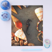 Prospectus 21,6 Cm X 24,94 Cm Coques (Simple)