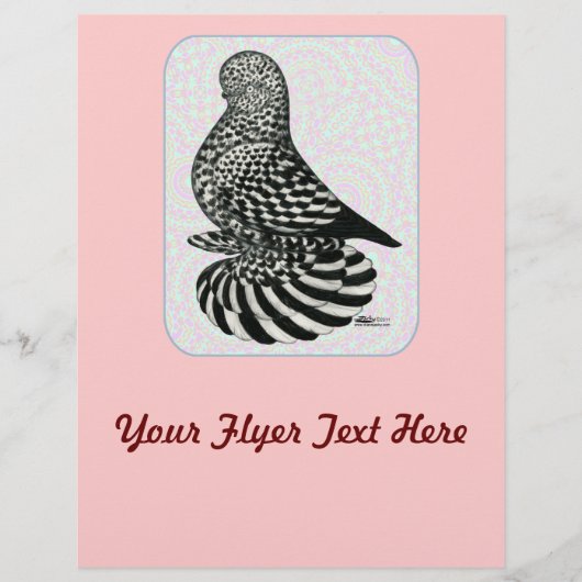 Prospectus 21,6 Cm X 24,94 Cm Couleurs de tondeuse (Devant)