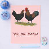 Prospectus 21,6 Cm X 24,94 Cm Cuivre noir des Marans (Simple)