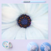 Prospectus 21,6 Cm X 24,94 Cm Daisy africain (Simple)