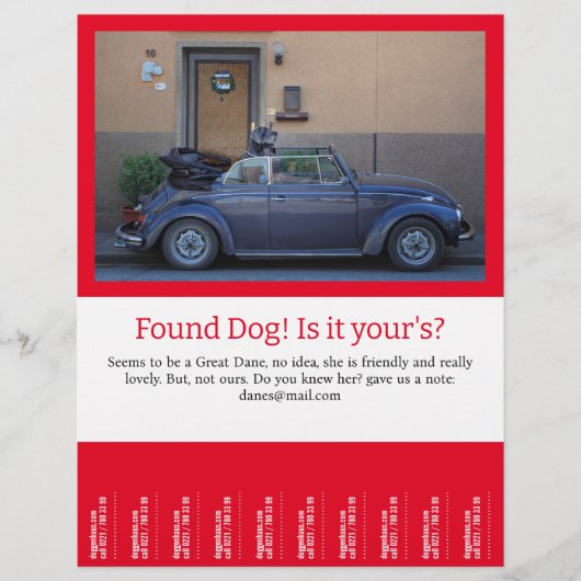 Prospectus 21,6 Cm X 24,94 Cm Déchets de chien trouvés fermés (Devant)