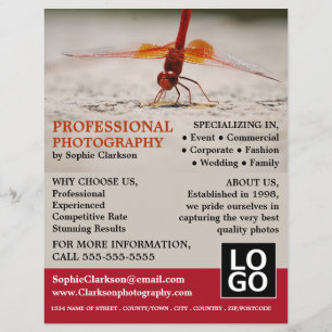 Prospectus 21,6 Cm X 24,94 Cm Dragonfly rouge, photographie, location de photogr