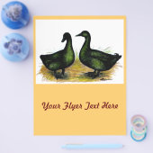 Prospectus 21,6 Cm X 24,94 Cm Ducks : Cayuga Pair (Simple)