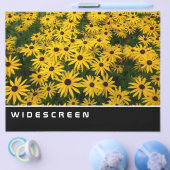 Prospectus 21,6 Cm X 24,94 Cm Écran large - Susans aux yeux noirs (Simple)