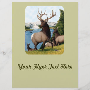 Prospectus 21,6 Cm X 24,94 Cm Élan Wapiti