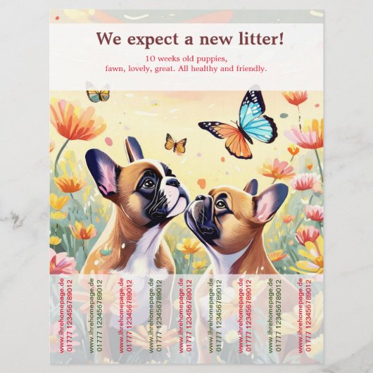 Prospectus 21,6 Cm X 24,94 Cm Éliminer les chiots français de Bulldog (Devant)