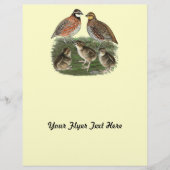 Prospectus 21,6 Cm X 24,94 Cm Famille Bobwhite Quail (Devant)