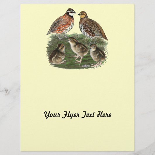 Prospectus 21,6 Cm X 24,94 Cm Famille Bobwhite Quail (Devant)