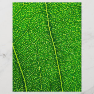 Prospectus 21,6 Cm X 24,94 Cm Feuille