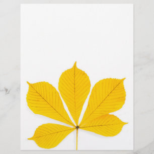 Prospectus 21,6 Cm X 24,94 Cm Feuille de saumons rouges jaunes sur un arrière -