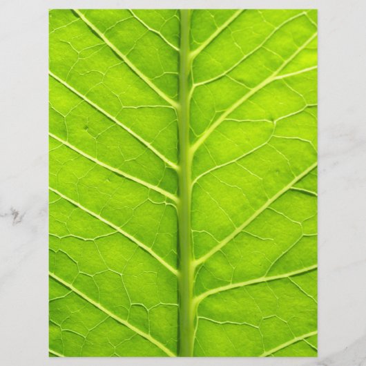 Prospectus 21,6 Cm X 24,94 Cm Feuille verte (Devant)
