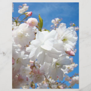 Prospectus 21,6 Cm X 24,94 Cm Fleurs de printemps Flyers papier Fleurs de ciel b