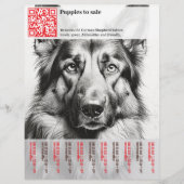 Prospectus 21,6 Cm X 24,94 Cm Flyer à vendre (Devant)