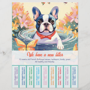 Prospectus 21,6 Cm X 24,94 Cm Flyer de chiot bouledogue français mignon