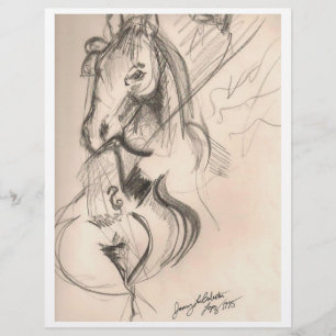 Prospectus 21,6 Cm X 24,94 Cm Flyer de dessin de cello de cheval