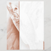 Prospectus 21,6 Cm X 24,94 Cm Flyer de pêche (Dos)