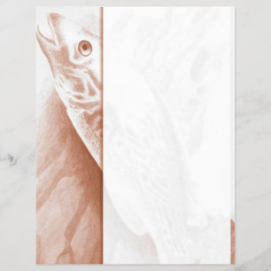 Prospectus 21,6 Cm X 24,94 Cm Flyer de pêche