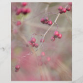 Prospectus 21,6 Cm X 24,94 Cm Flyer Fleurs Jardin (Dos)