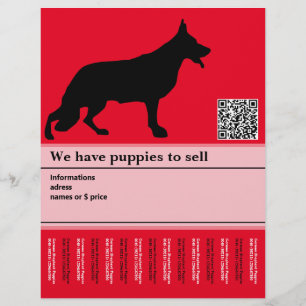 Prospectus 21,6 Cm X 24,94 Cm Flyer personnalisé Chien de Berger Minimal