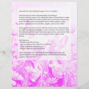 Prospectus 21,6 Cm X 24,94 Cm Flyer pour chiot Bouledogue Français 