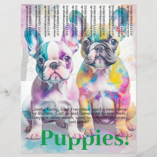 Prospectus 21,6 Cm X 24,94 Cm Flyer pour chiot Bouledogue Français