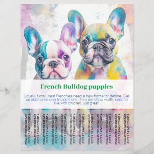 Prospectus 21,6 Cm X 24,94 Cm Flyer pour chiot Bouledogue Français 