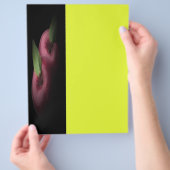 Prospectus 21,6 Cm X 24,94 Cm Flyer Red Apples (main)