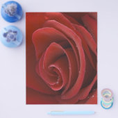 Prospectus 21,6 Cm X 24,94 Cm Flyer Rose Rouge (Simple)