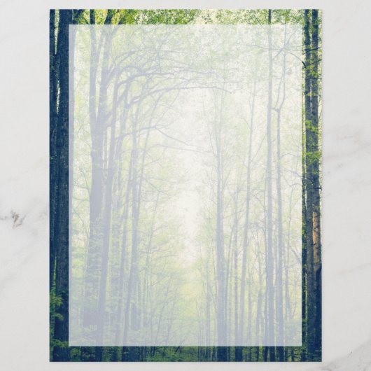 Prospectus 21,6 Cm X 24,94 Cm Forêt mystique (Devant)