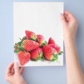 Prospectus 21,6 Cm X 24,94 Cm Fraise (main)