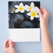 Prospectus 21,6 Cm X 24,94 Cm Frangipani flowers (main)
